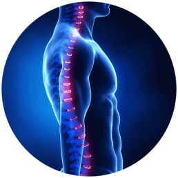 Degenerative Disc Disease Symptoms & Treatment Options | Houston Spine Dr. Martin | (281) 653-2686 | Houston Spine Surgeon Board Certified | Next Day Appointment