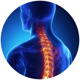 Spinal Injuries Symptoms & Treatment Options | Houston Spine Dr. Martin | (281) 653-2686 | Houston Spine Surgeon Board Certified | Next Day Appointment